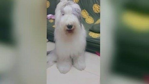 娱乐圈吃瓜新热点：明星与吃瓜主播的跨界互动引发热议